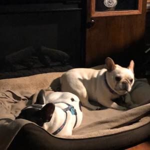 Meet your Posher, Connie